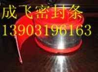 门业图片-密封条、装饰条、密封件、封边条发光字边条cf-2007图片
