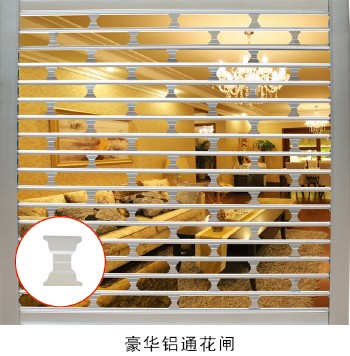 门业图片-电动通花闸广东佛山不锈钢豪华电动通花闸门豪华铝通花闸.豪华铝通花闸.图片