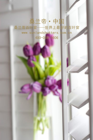 门业图片-百叶窗批发零售桑兰蒂百叶帘，实木百叶窗自定义图片