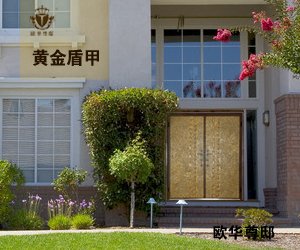 别墅门,铸铝门,别墅大门