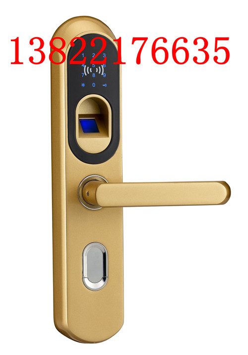 门业图片-指纹锁日翔实木门门锁zw04j图片