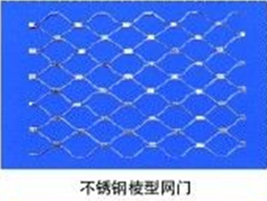 门业图片-不锈钢网型门系列历山不锈钢凌形网门ls096图片