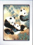 门业图片-不锈钢彩色花板不锈钢彩色花板1219*2438   1000*2000图片