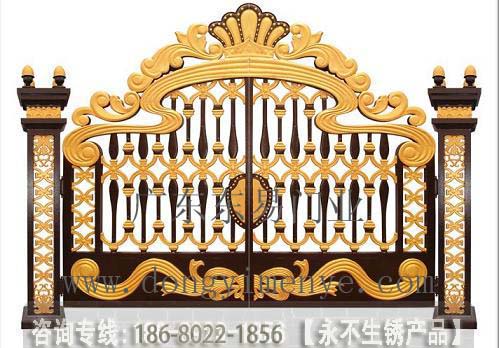 门业图片-铸铝别墅门武汉东易门业DY-1318别墅门DY-1318图片