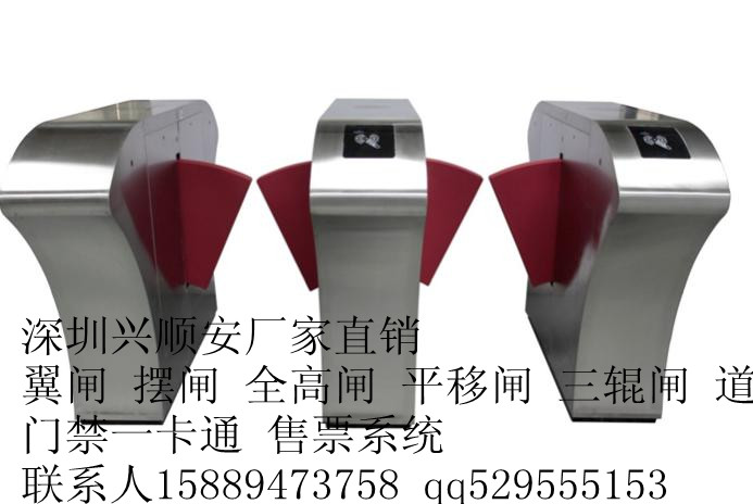 门业图片-翼闸/地铁/景区/公司/展会/大厦桥豪华翼闸软翼防夹翼闸双通道生产工程商用XSA图片