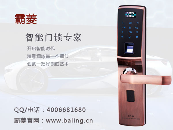 阳江指纹锁