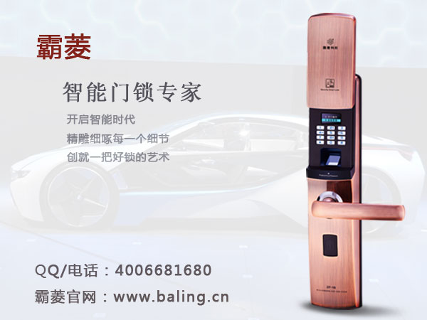 门业图片-指纹锁霸菱汕头家用指纹锁，安全性能高的电子锁批发ZF-16s图片