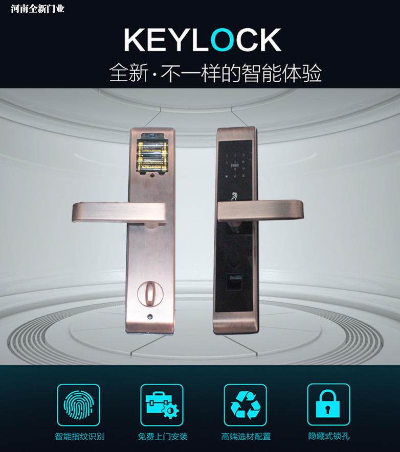 门业图片-国标门 ,防盗门 ,防火门 ,玻璃门 ,防爆门 ,复合门 ,进户门 ,庭院门 ,室内木门河南全新门业智能锁批发QX图片