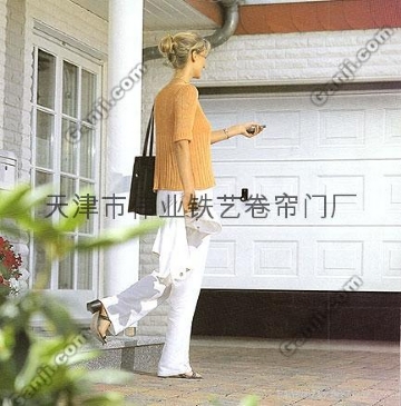 门业图片-卷帘门电动伸缩门ssm-888图片