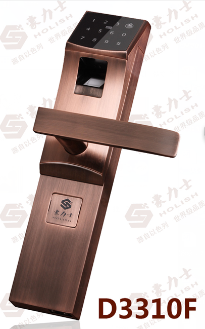 门业图片-智能锁豪力士智能锁D3310F图片