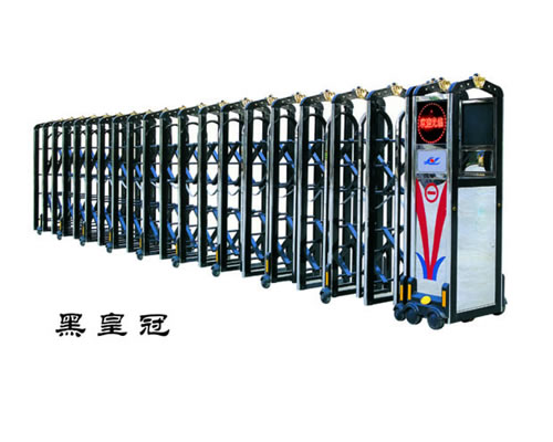 门业图片-宁波电动门宁波伸缩门黑皇冠图片