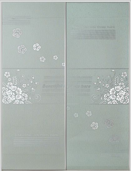 门业图片-衣柜门系列衣柜门系列YG-0001图片